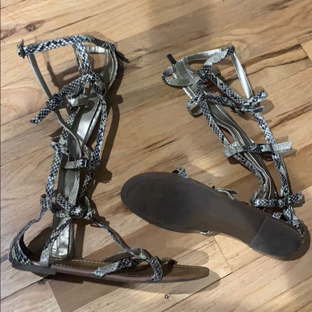 Bcbg Gladiators - image 1